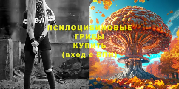 герыч Алзамай