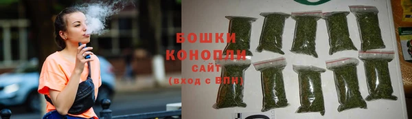 шишки Карпинск