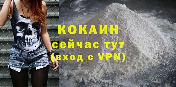 стафф Алексин