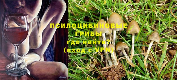 МДМА Алексеевка