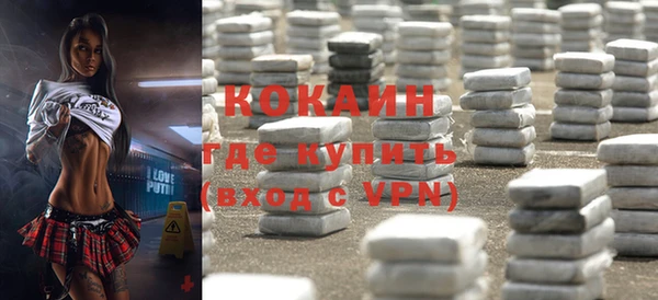 стафф Алексин