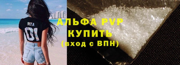 стафф Алексин