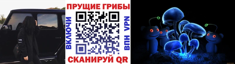 ссылка на мегу как зайти  Ипатово  Галлюциногенные грибы Cubensis 