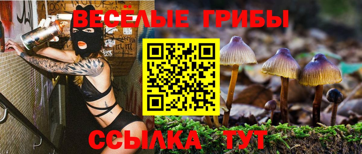 Галлюциногенные грибы MAGIC MUSHROOMS  Вход с VPN  Ипатово 